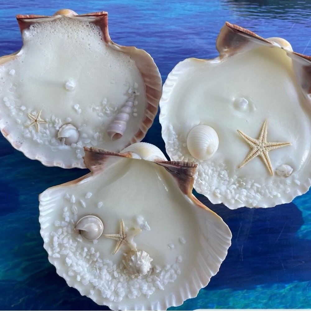 Shell Candles - Picture 2 of 2